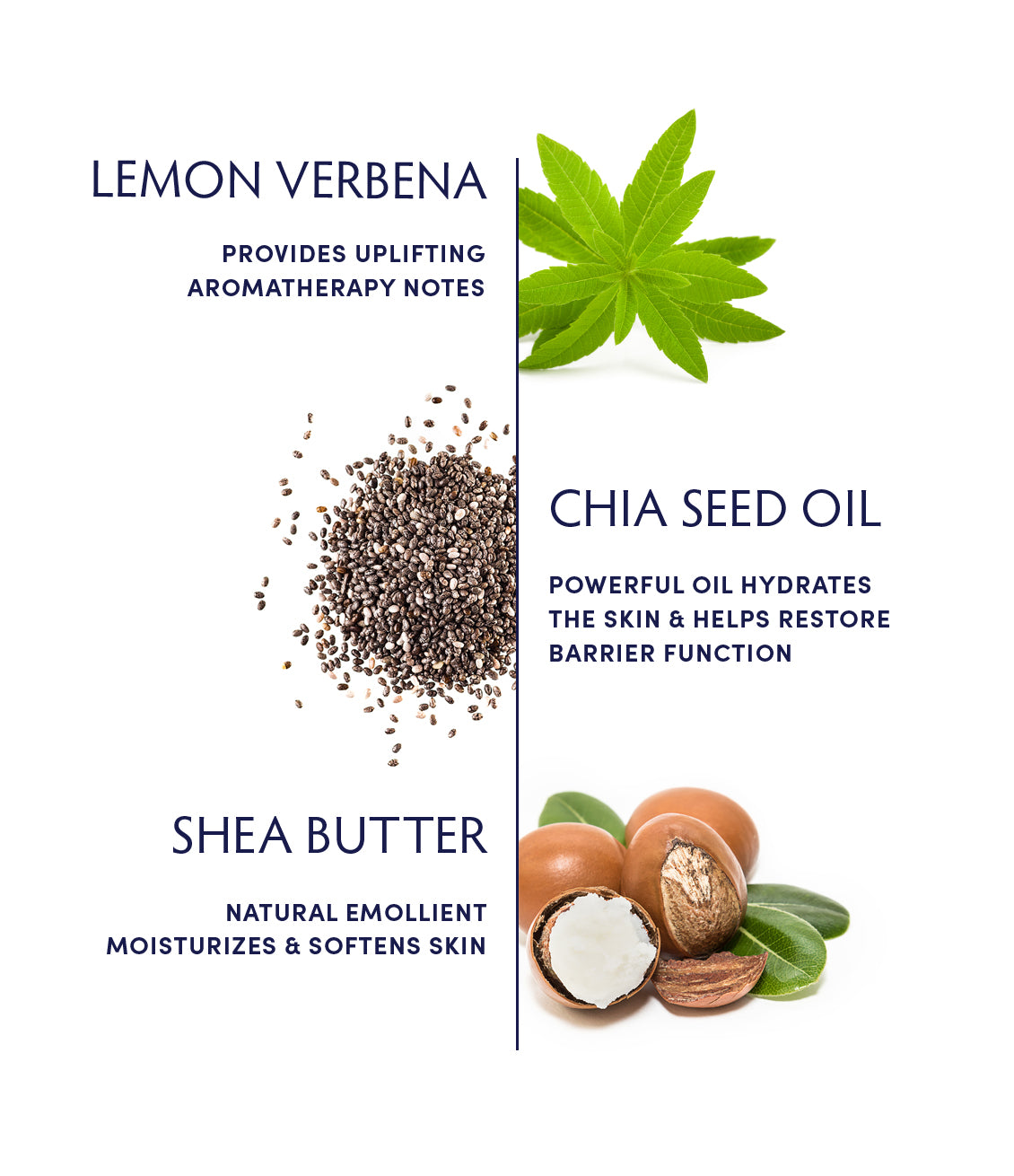 Lemon Verbena Omega-3 Calming Hand Cream