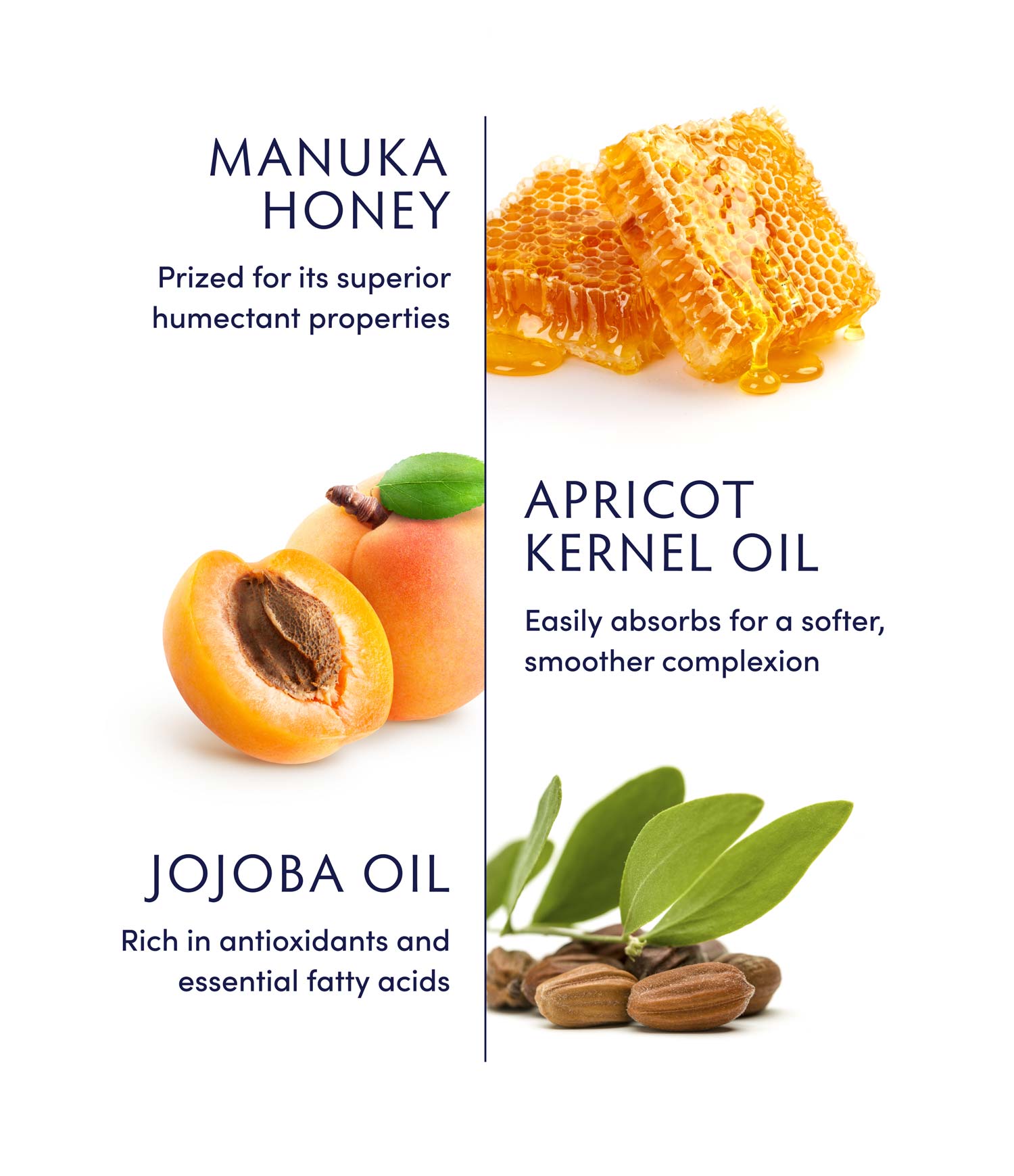 Manuka Honey Whipped Oil