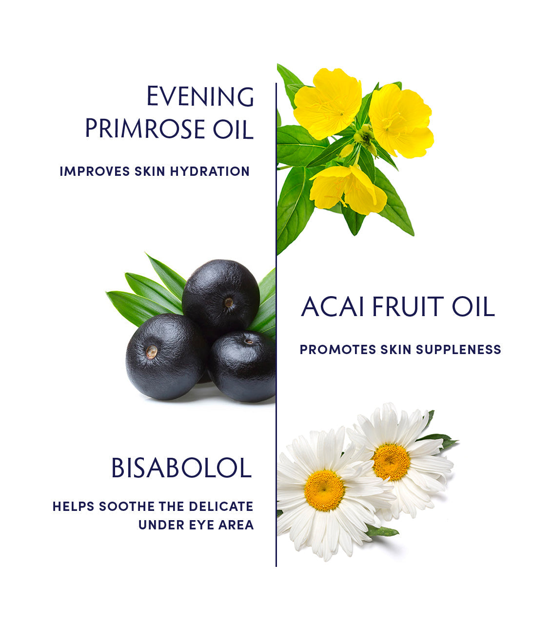 Primrose Eye & Lip Treatment – Nourishing Multi-Tasking Balm for Fine Lines & Dryness | Naturopathica