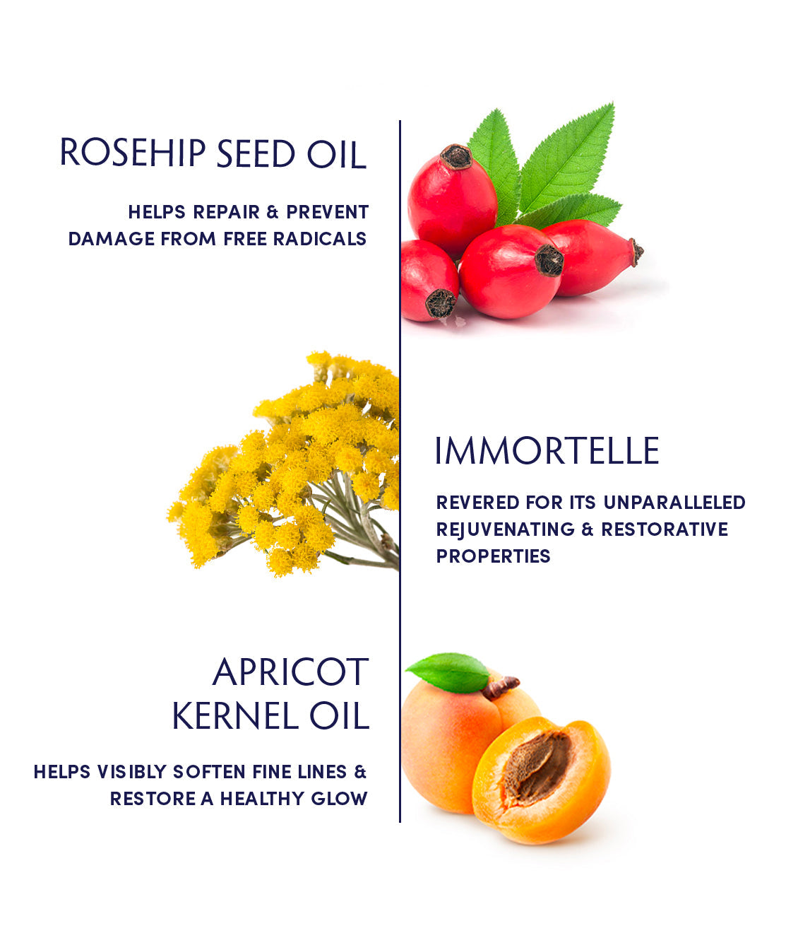 Rosehip Seed & Immortelle Regenerating Facial Oil – Restorative Botanical Blend for Radiance & Skin Barrier Repair | Naturopathica
