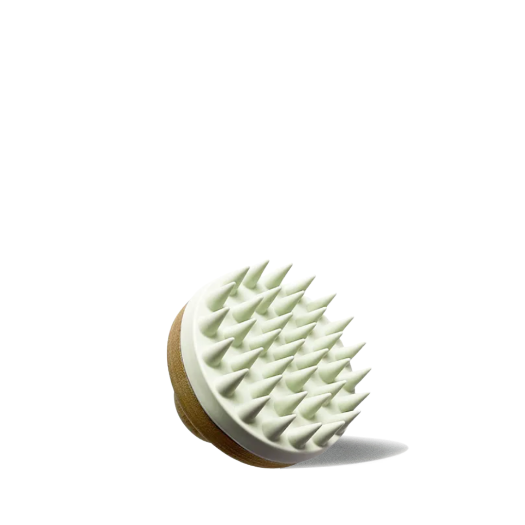 Wabi Sabi Scalp Scrubber-0