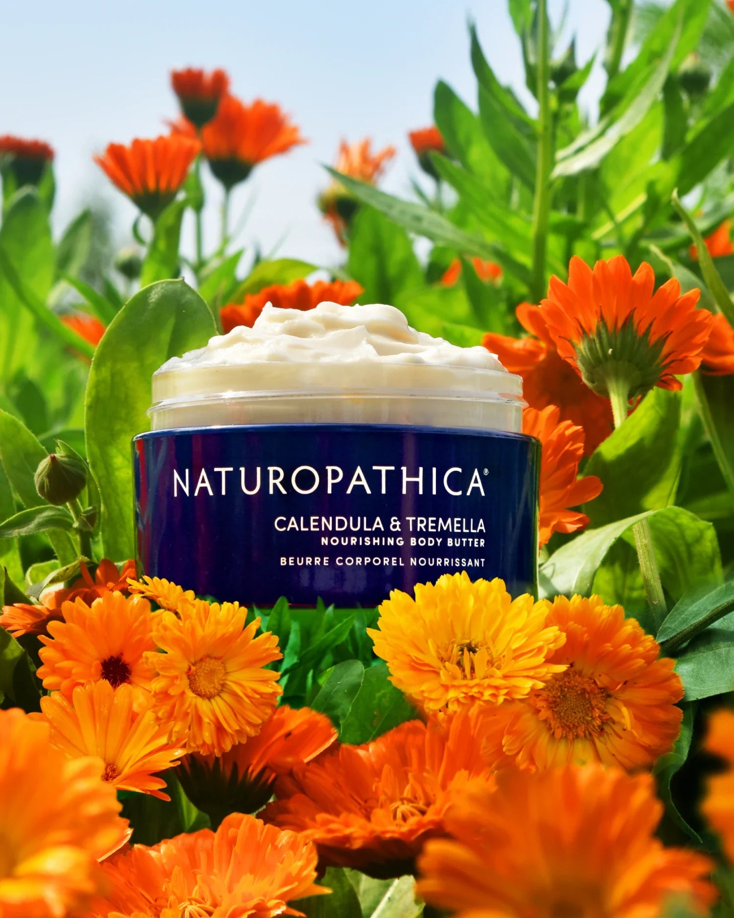 Full Size Calendula & Tremella Nourishing Body Butter Gift