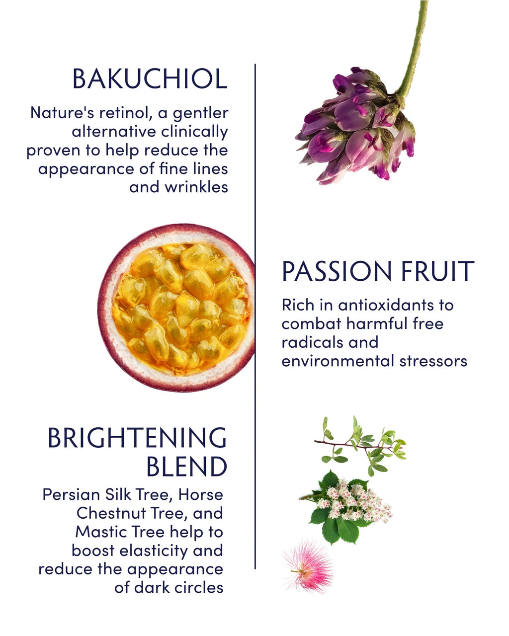 Passion Fruit & Bakuchiol Ageless Eye Serum